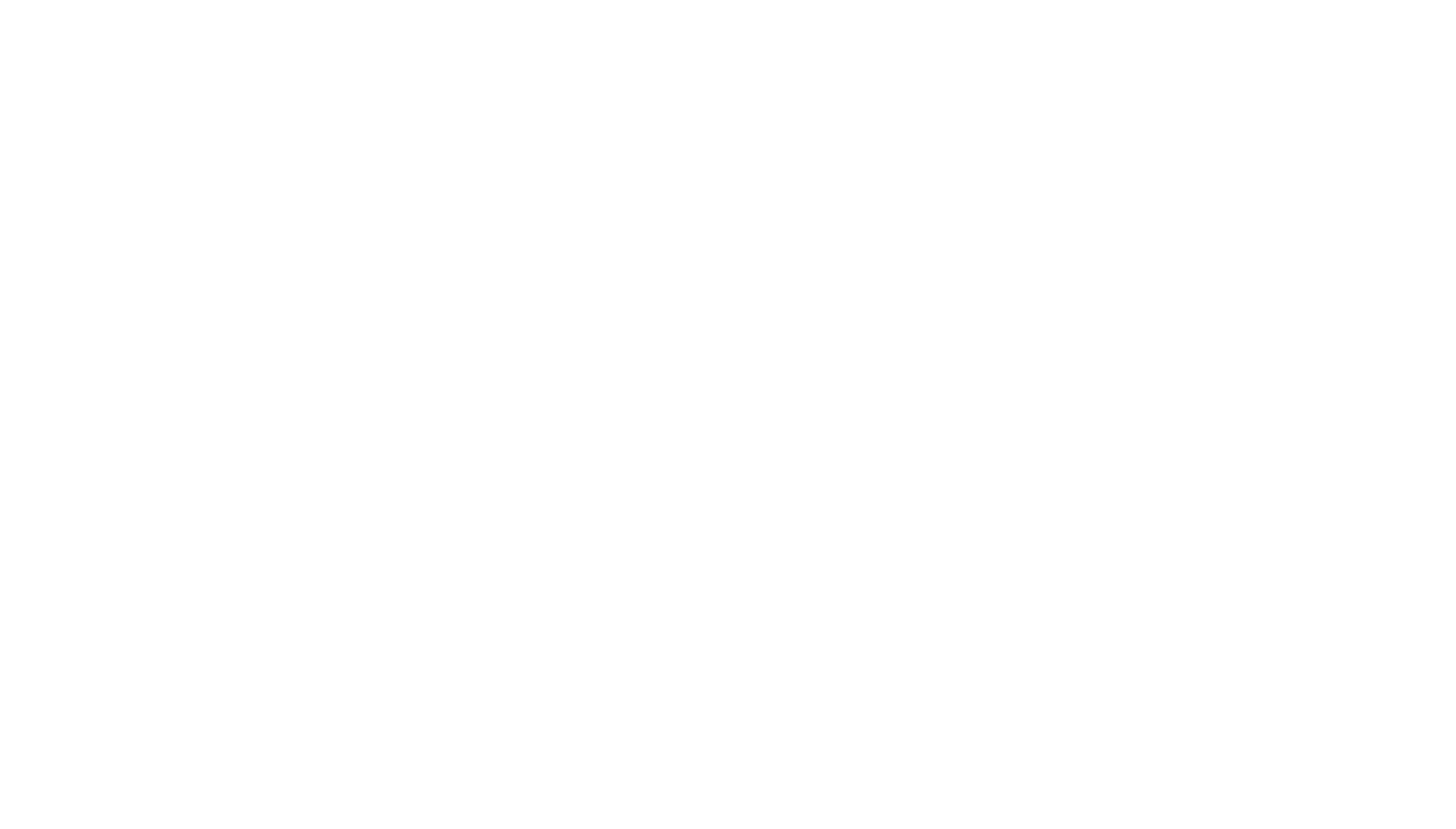 DVM Logo White